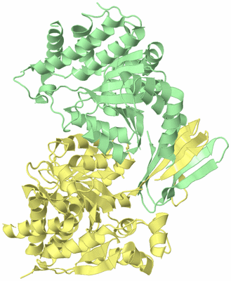 Image Biological Unit 1