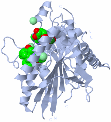 Image Biological Unit 1