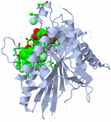 Image Biol. Unit 1 - sites