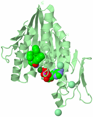 Image Biological Unit 2