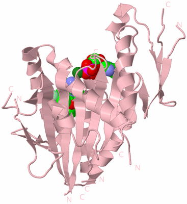 Image Biological Unit 3