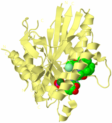 Image Biological Unit 4