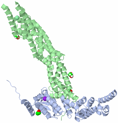 Image Asym./Biol. Unit