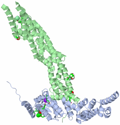 Image Asym./Biol. Unit - sites