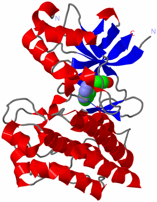 Image Asym./Biol. Unit