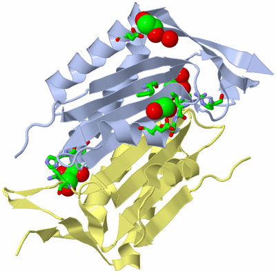 Image Biol. Unit 1 - sites