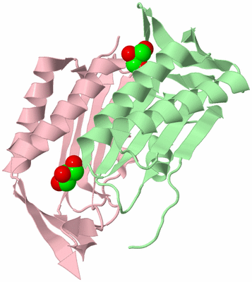 Image Biological Unit 3