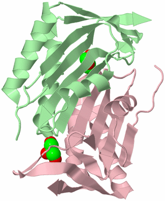 Image Biological Unit 4