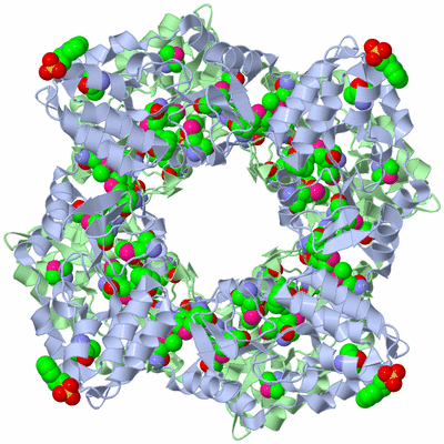 Image Biological Unit 1