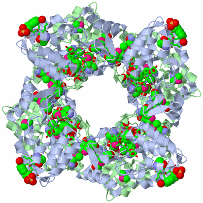 Image Biol. Unit 1 - sites