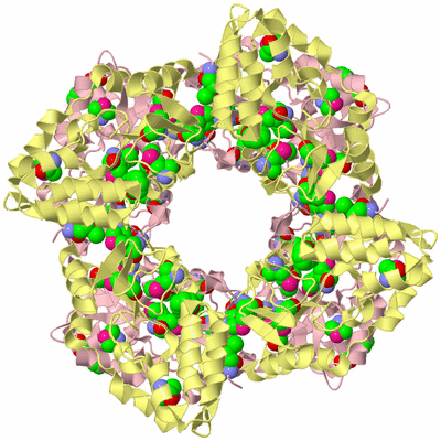 Image Biological Unit 2