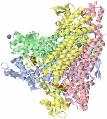 Image Asym./Biol. Unit