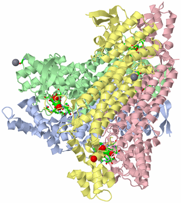 Image Asym./Biol. Unit - sites