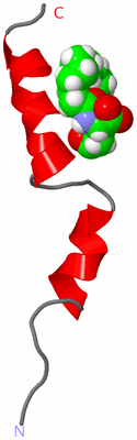 Image NMR Structure - model 1