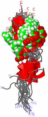 Image NMR Structure - all models