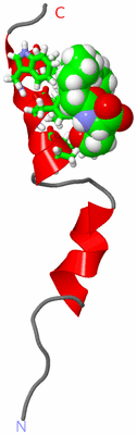 Image NMR Structure - model 1, sites