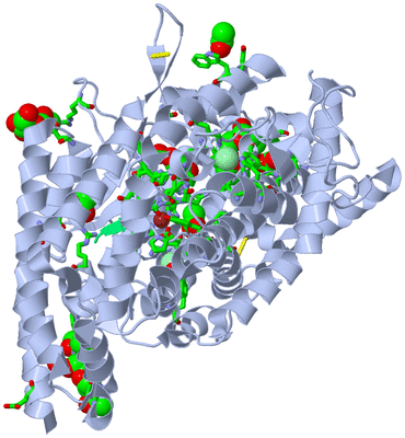 Image Asym./Biol. Unit - sites