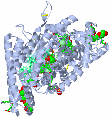 Image Asym./Biol. Unit - sites