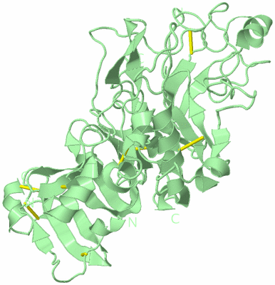 Image Biological Unit 2