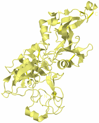 Image Biological Unit 3