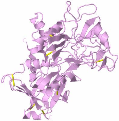 Image Biological Unit 4