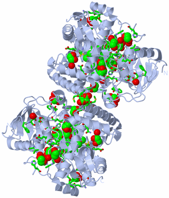 Image Biol. Unit 1 - sites