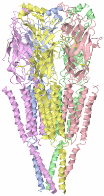 Image Asym./Biol. Unit