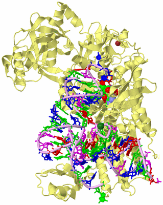 Image Biological Unit 2