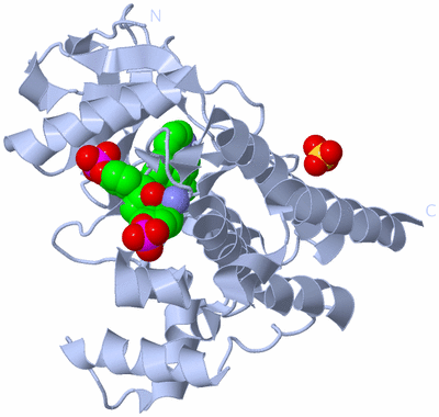 Image Biological Unit 1