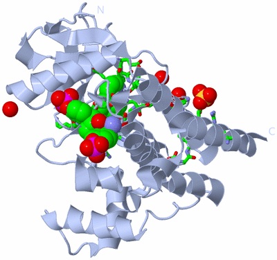 Image Biol. Unit 1 - sites