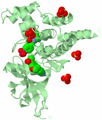 Image Biological Unit 2