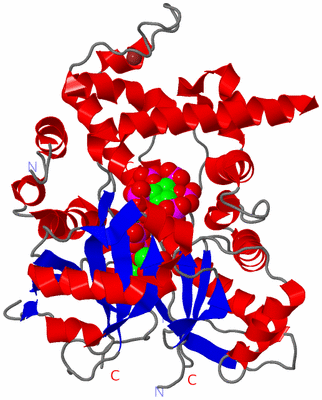 Image Asym./Biol. Unit