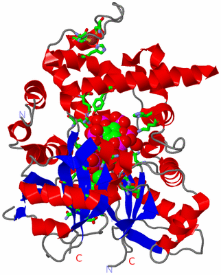 Image Asym./Biol. Unit - sites