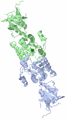 Image Asym./Biol. Unit