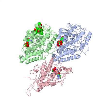 Image Asym./Biol. Unit