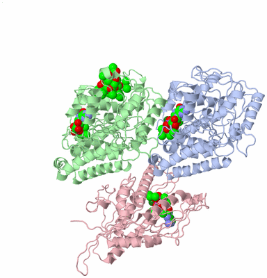 Image Asym./Biol. Unit - sites