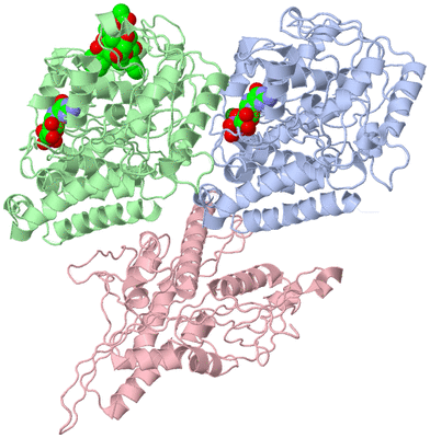 Image Asym./Biol. Unit