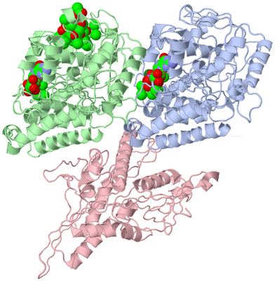 Image Asym./Biol. Unit - sites