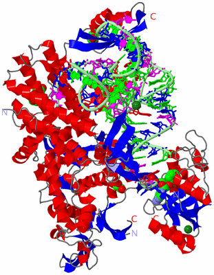 Image Asym./Biol. Unit