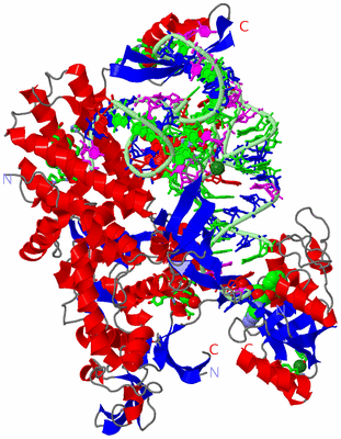 Image Asym./Biol. Unit - sites