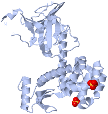 Image Biological Unit 1