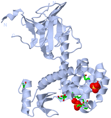 Image Biol. Unit 1 - sites