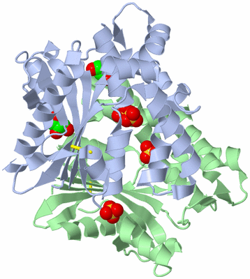 Image Asym./Biol. Unit