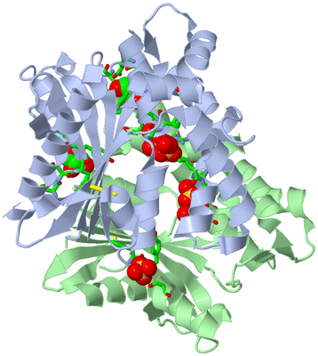 Image Asym./Biol. Unit - sites