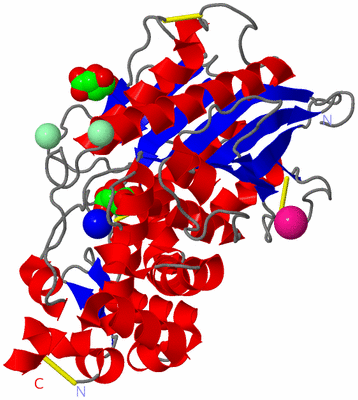 Image Asym./Biol. Unit