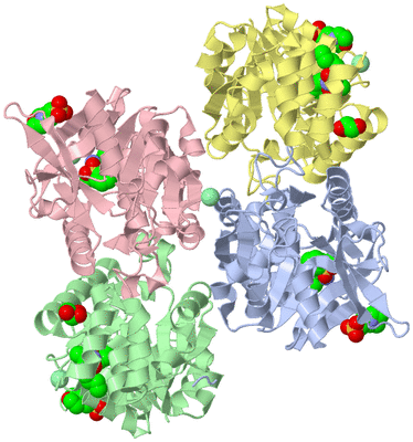 Image Asym./Biol. Unit