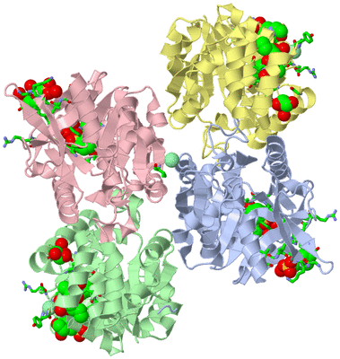 Image Asym./Biol. Unit - sites