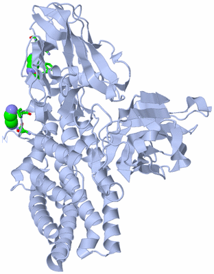 Image Biol. Unit 1 - sites