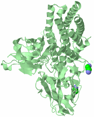 Image Biological Unit 2