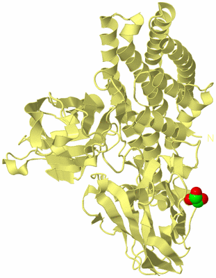 Image Biological Unit 4